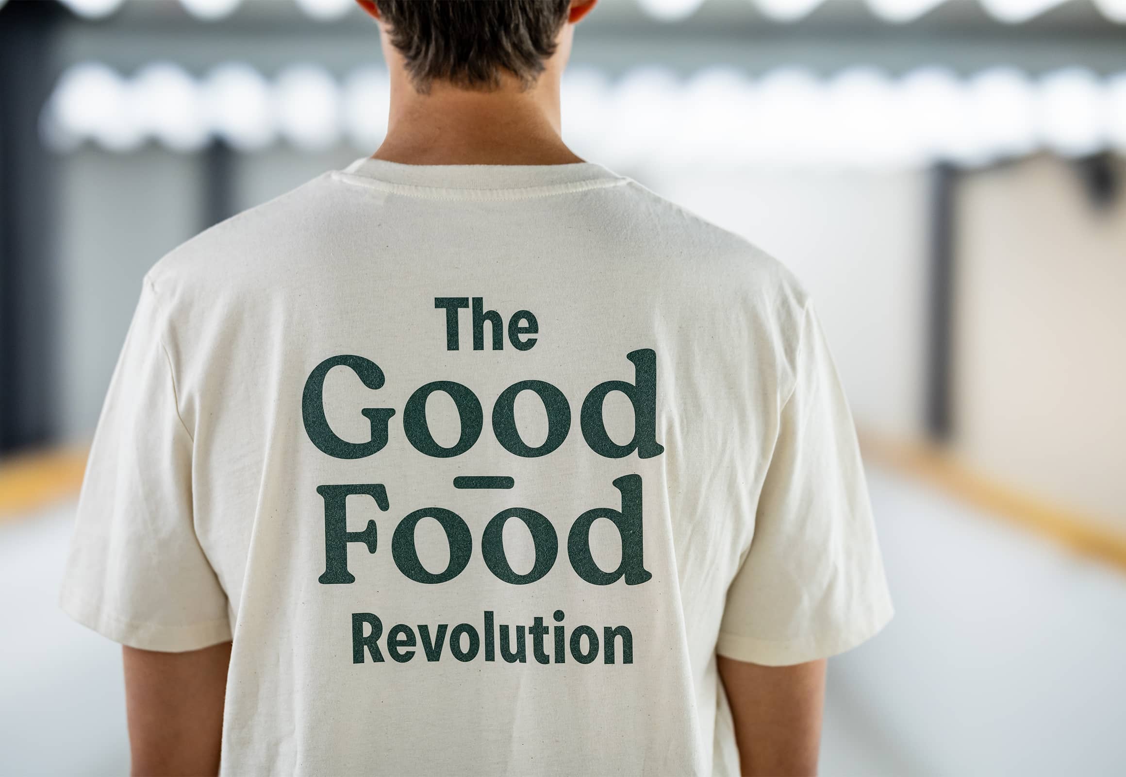 Featured image for project: Luya